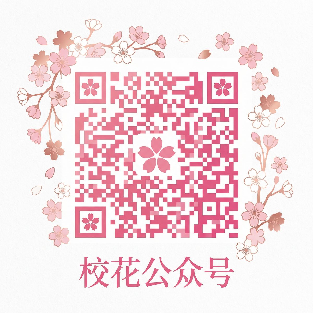 每日大赛原创主页公众号二维码
